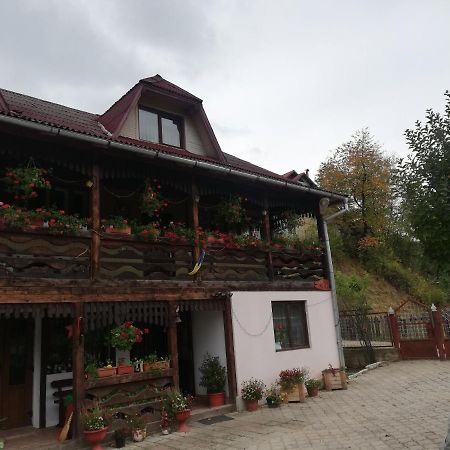Hotel Casa Cozorici Sadová Exterior foto