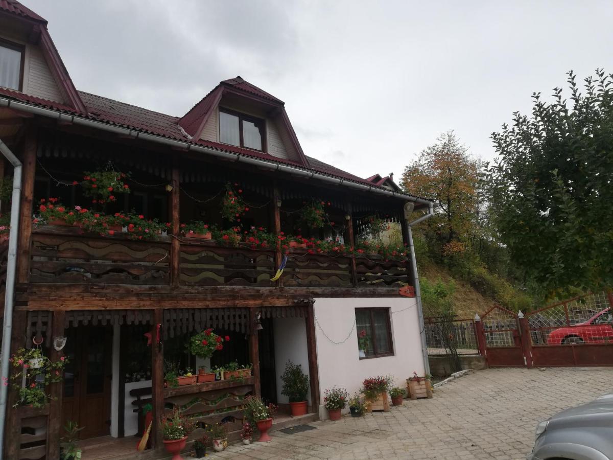 Hotel Casa Cozorici Sadová Exterior foto